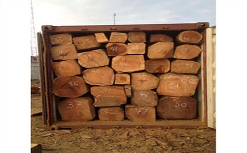 簡單介紹建筑維修加固行業