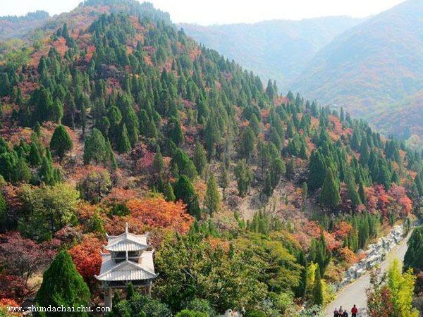 室內裝修拆除資質